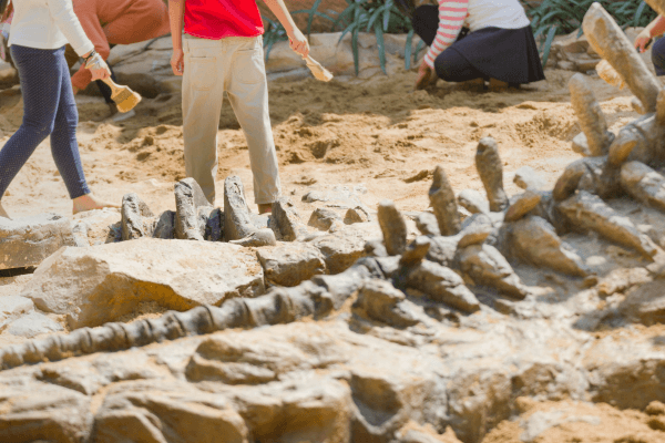 Fósseis de Dinossauro: Descobrindo os Ossos de Dinossauros e o Impacto do Dinossauro Rex