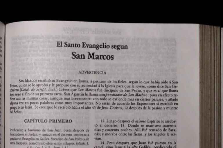 anticristo nas profecias - An open book with spanish text on it