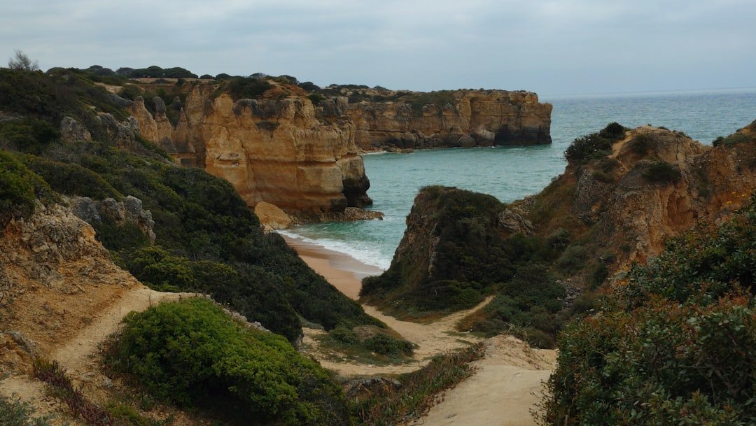 fatos Descobrimentos portugueses