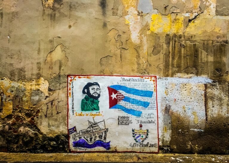 fidel castro e che guevara - multicolored art decor