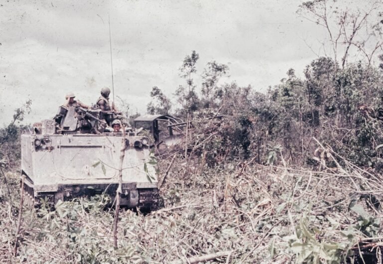 guerra do vietna - A military vehicle driving through a forest filled with trees