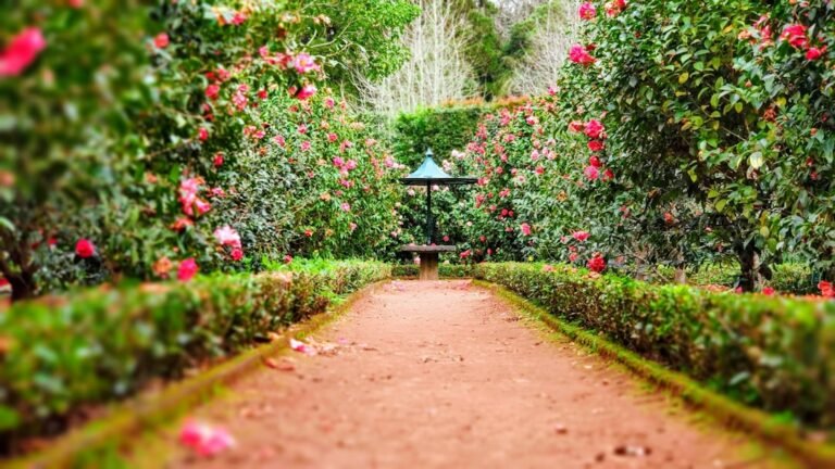 adao e eva no jardim do eden - brown pathway between green plants